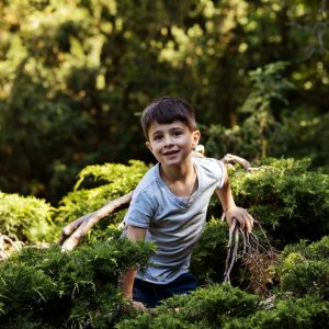 Un jardín en mi ventana
